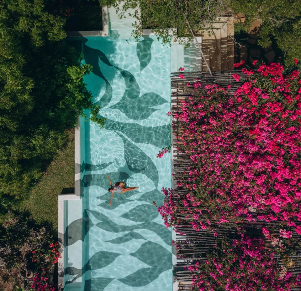 Et ørneblikk over et bassen på Cardamom House, med rødrosa vegetasjon ved siden av.