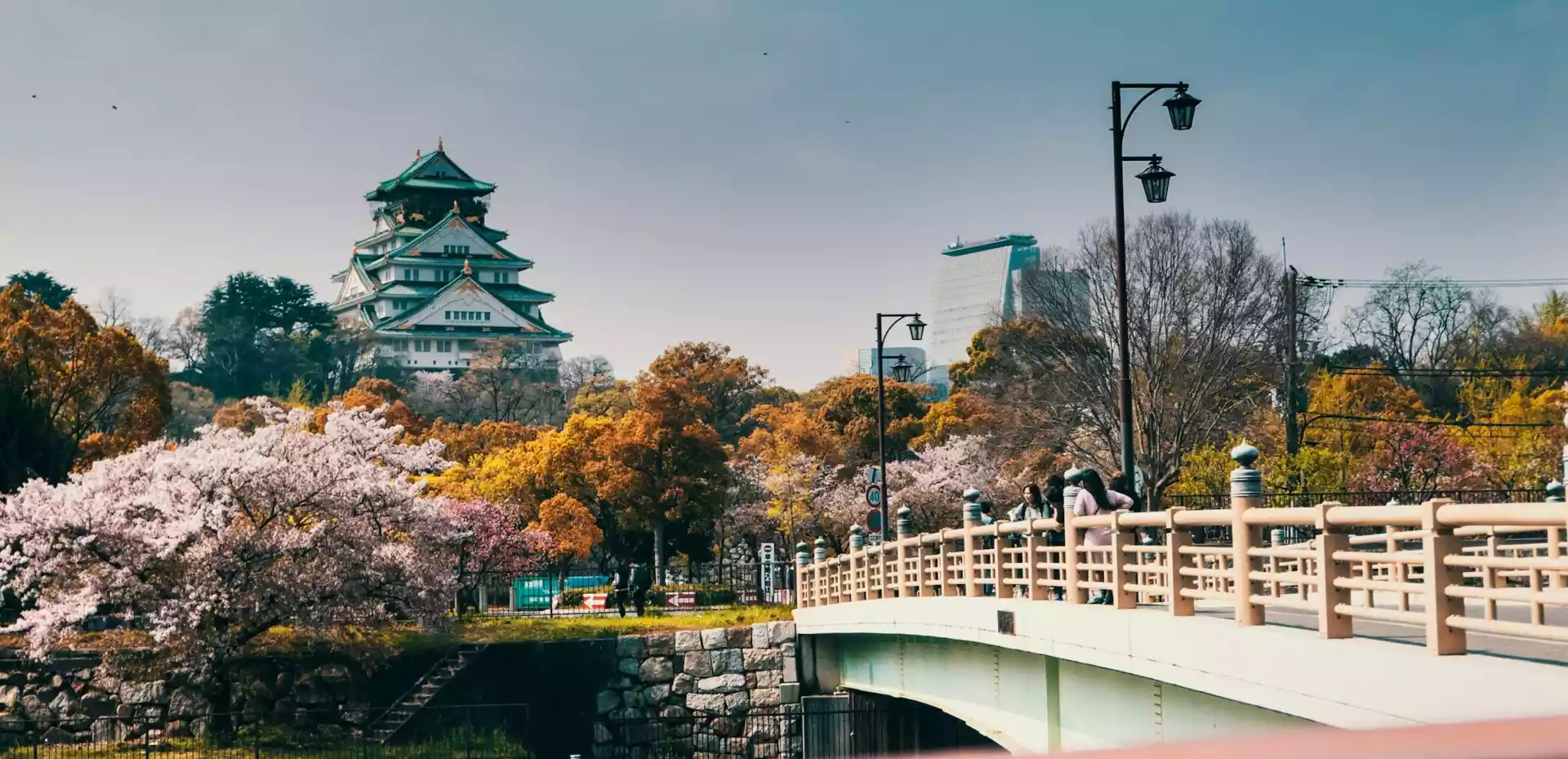 En bro i Japan, over en elv, med japansk arkitektur og kirsebærtrær i bakgrunnen.