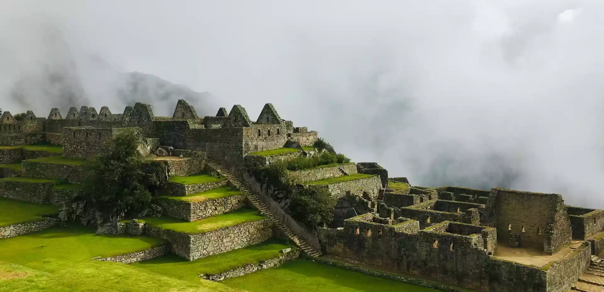 Ruiner i Machu Picchu omgitt av lav tåke som svever over området. Det grønne gresset fremhever ruinene og tilfører en følelse av friskhet til det historiske landskapet.