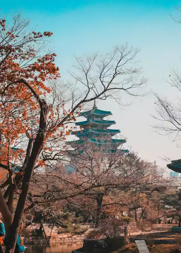 En tradisjonell bygning i Seoul står omringet av trær, med en klar, blå himmel som bakgrunn.