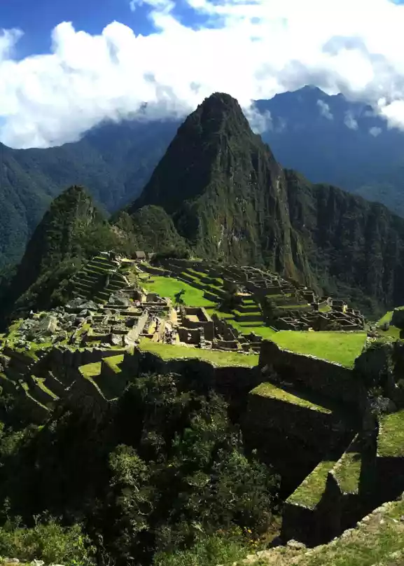 En oversikt over Machu Picchu, som viser de gamle Inka-ruinene mot en klar blå himmel. Scenen er fremhevet av frodig grønt gress som omgir det historiske stedet, og fremhever den velbevarte naturen og den rolige skjønnheten til denne ikoniske lokasjonen."