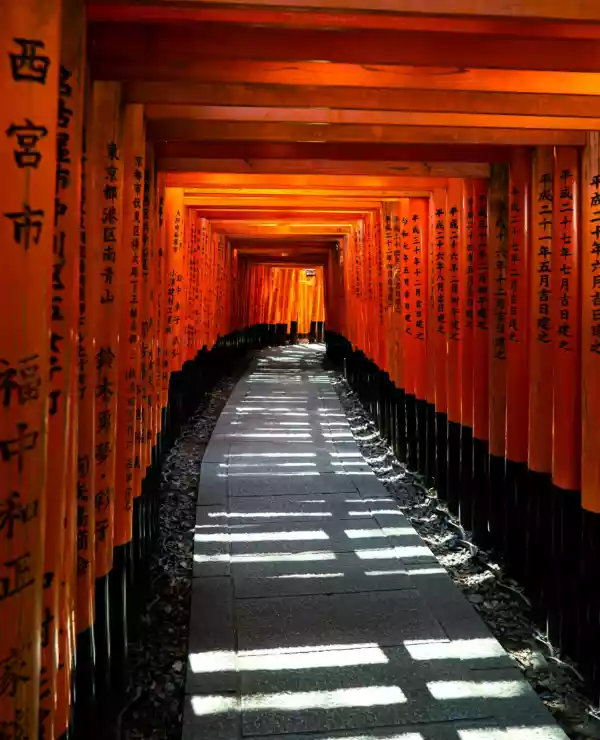 En lang rekke av røde torii-porter ved Fushimi Inari-helligdommen i Kyoto. Portene står tett i tett, nesten som en tunnel, hvor noe sollys kommer igjennom