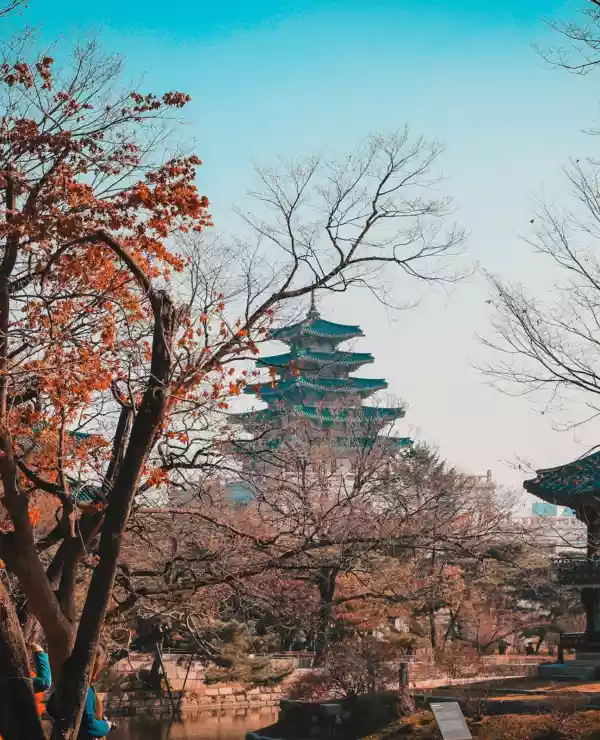 En tradisjonell bygning i Seoul står omringet av trær, med en klar, blå himmel som bakgrunn.