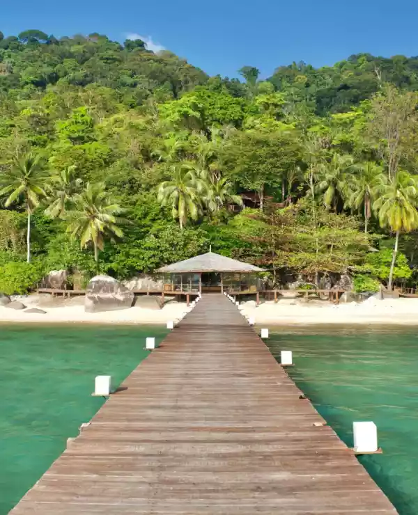 Gangbro til sandstranden ved Japamala Resort, omgitt av frodig natur og turkis vann.